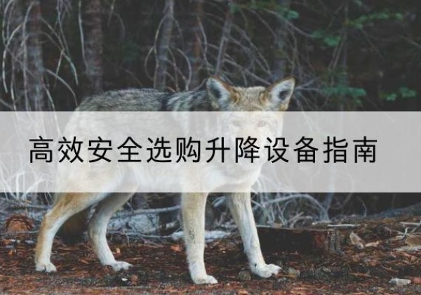 仁化升降货梯厂家推荐-*安全选购升降设备指南