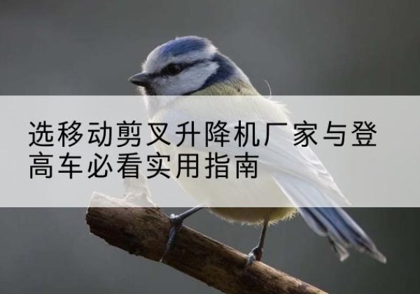 仁化电动升降机厂家-选移动剪叉升降机厂家与登高车必看实用指南