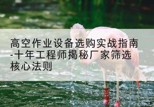 仁化剪叉式升降机厂家-高空作业设备选购实战指南-十年工程师揭秘厂家筛选核心法则